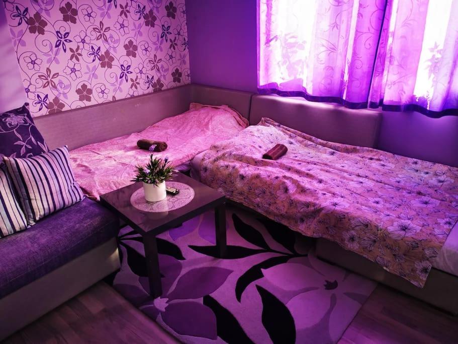 Apartment Lavender, Near To Airport Σόφια Εξωτερικό φωτογραφία